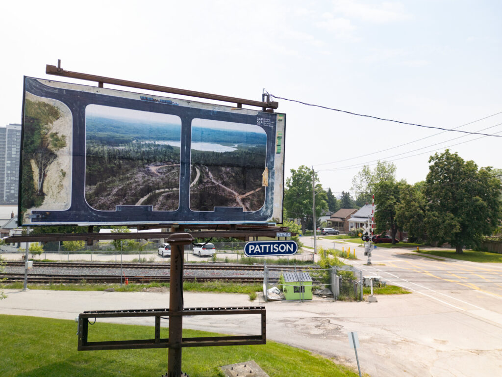 Colour photograph of a Pattison billboard of a photomontage of two photographs, one of roads in a grid formation and the center area of 2 grids are cut away revealing a photo of a forest clearcut, the grid not cut away is of a fallen tree. Behind the billboard a building and a couple houses can be seen. The billboard is next to an empty road.