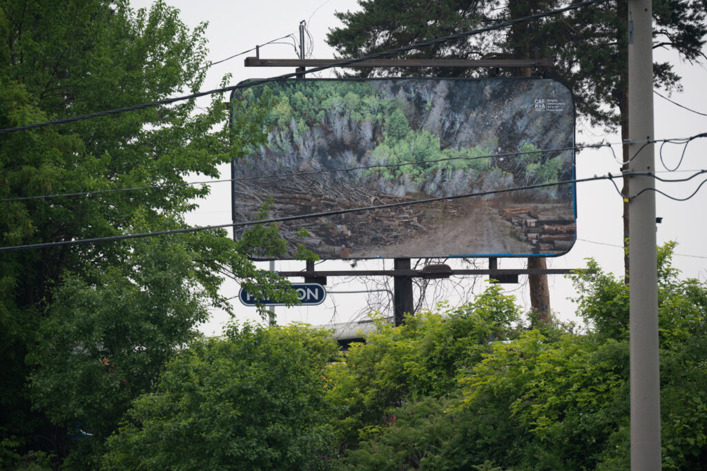 A colour photograph of a billboard of a photomontage of cut trees and a burned forest, the billboard is surrounded by trees.