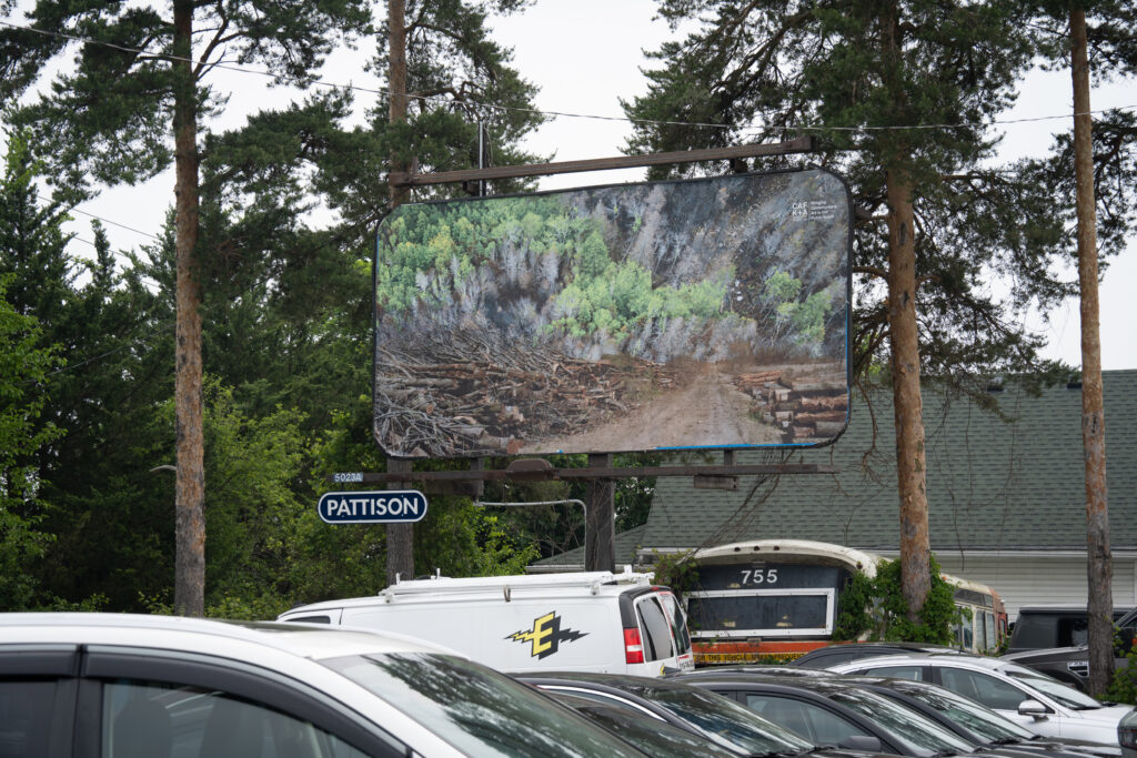 Colour photograph of a Pattison billboard of a photomontage of cut down trees lining a roadway that leads to a forest that has been partially burned. In the foreground of the billboard are parked cars. Surrounding the billboard are 2 species of trees.