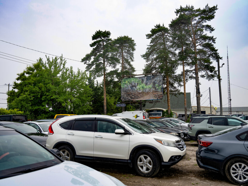Colour photograph of a Pattison billboard of a photomontage of cut down trees lining a roadway that leads to a forest that has been partially burned. In the foreground of the billboard are parked cars. Surrounding the billboard are 2 species of trees.