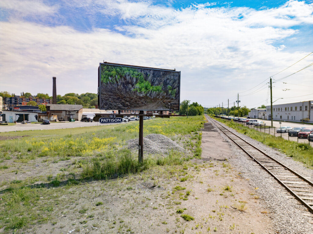 Colour photograph of a Pattison billboard of a photomontage of cut down trees lining a roadway that leads to a forest that has been partially burned. In the foreground under the billboard, is a figure holding a camera in their hands. The billboard is located next to a pile of gravel, in front of old factory buildings and railway tracks run to the right.