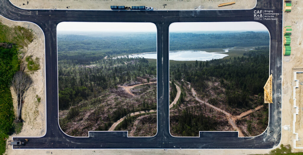 A photomontage of two photographs, one of roads in a grid formation and the center area of 2 grids are cut away revealing a photo of a forest clearcut, the grid not cut away is of a fallen tree.