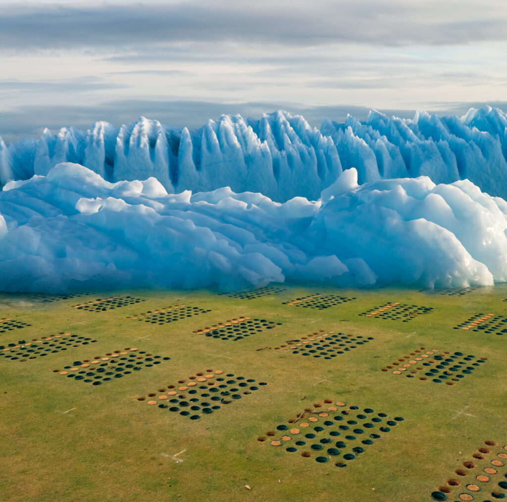 photomontage of photographs of blue ice and a filed of grass growing in pots.