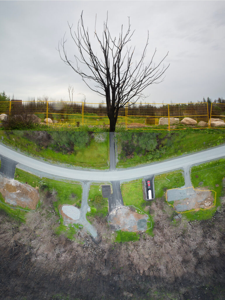 colour photomontage of two images joined at the center. The top is a ded burned tree surrounded by a yellow fence, the bottom image looks like tree roots and is of the gravel roads and concrete pads of burned down homes surrounded by burned forest.