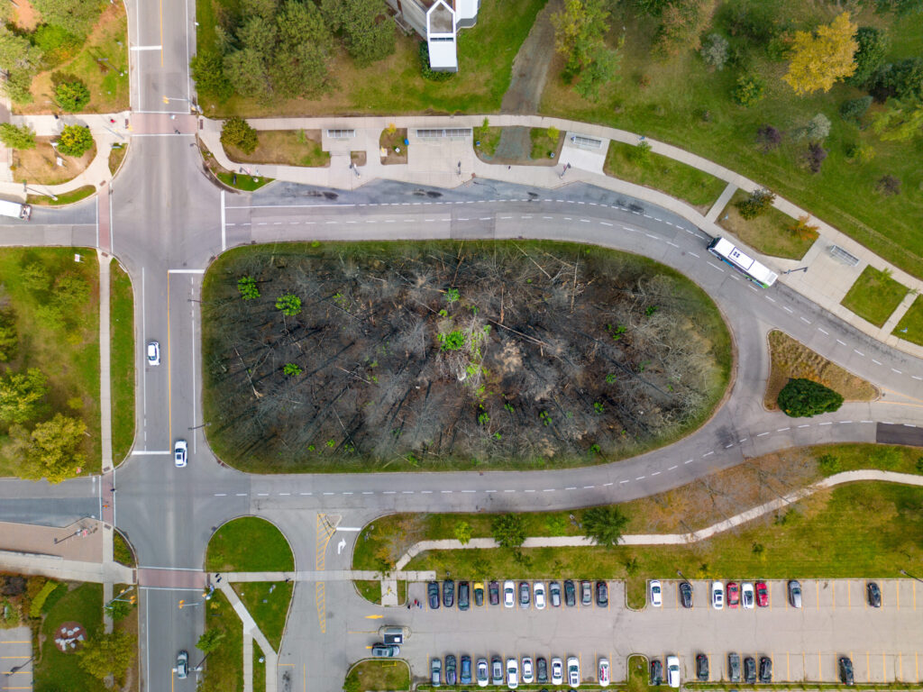 a photomontage of a burned out forest in the center of a photograph of a bus loop aerial image.